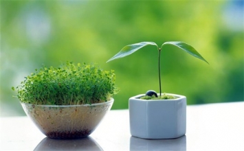 Đứng ở vị trí mà bạn cần đứng